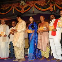 Sri Rama Rajyam Audio Launch Pictures | Picture 60455